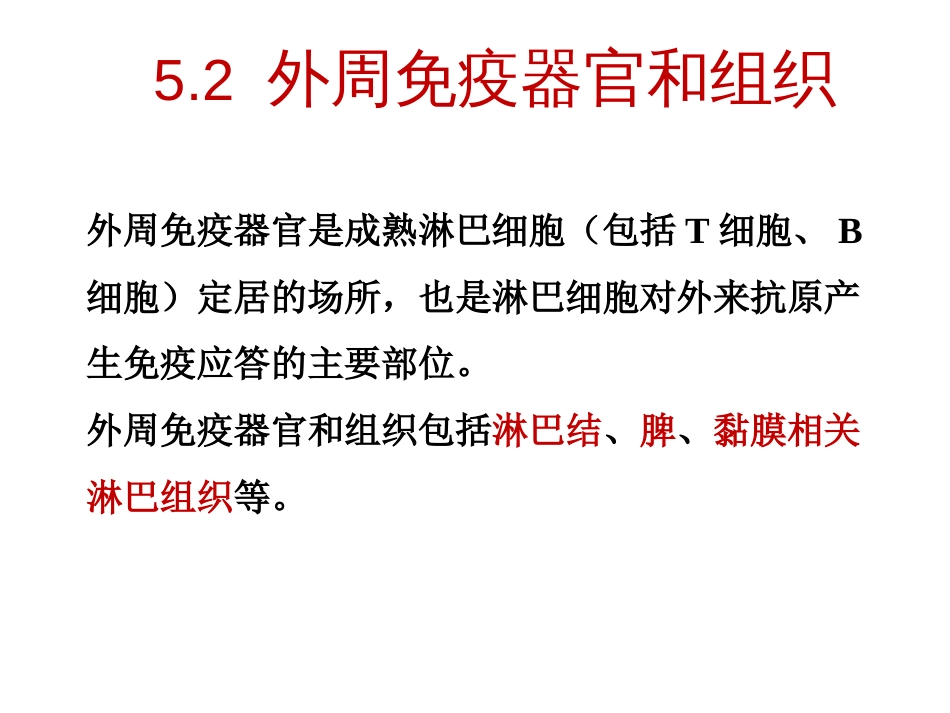 (8)--5.2 外周免疫器官和组织 PPT_第2页