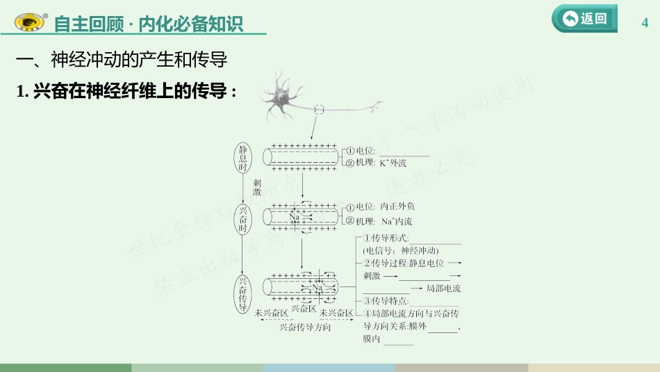 第八单元 第3课　神经冲动的产生和传导、神经系统的分级调节及人脑的高级功能_第3页