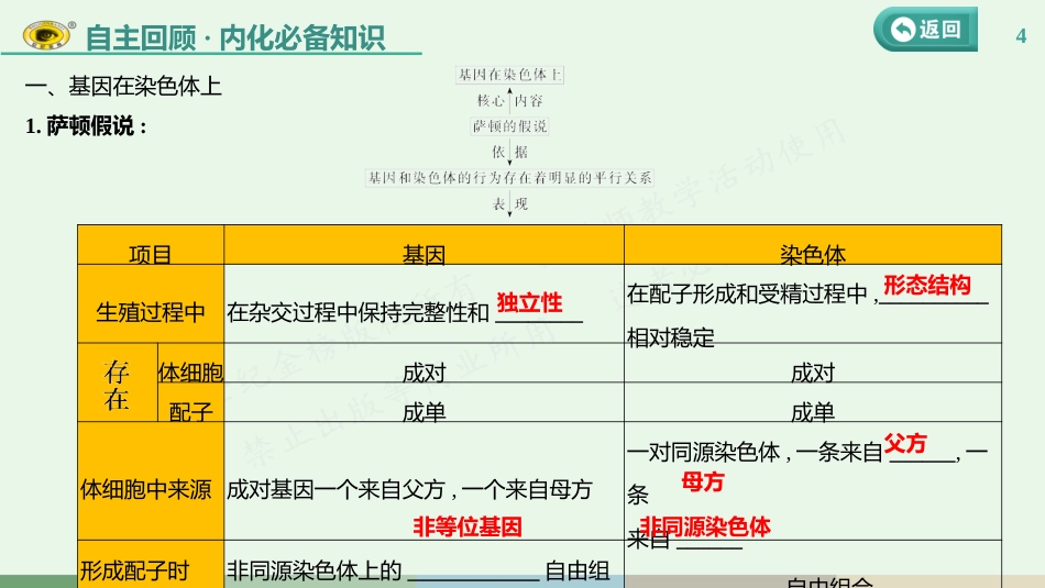 第五单元 第6课　基因在染色体上、伴性遗传及人类遗传病_第3页