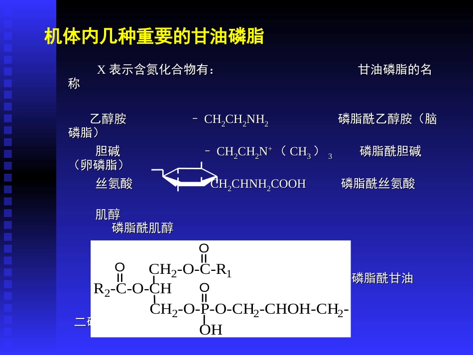 甘油磷脂的代谢[共18页]_第3页