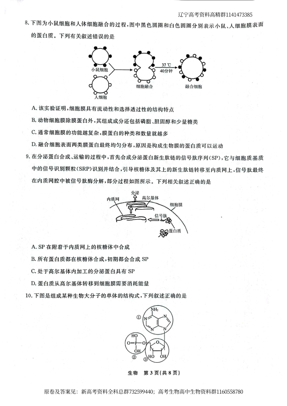 生物高一-辽宁省名校联盟2023-2024学年高一上学期12月月考生物试题_第3页