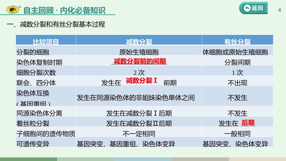 第四单元 第3课　减数分裂与有丝分裂的比较及观察蝗虫精母细胞减数分裂装片_第3页