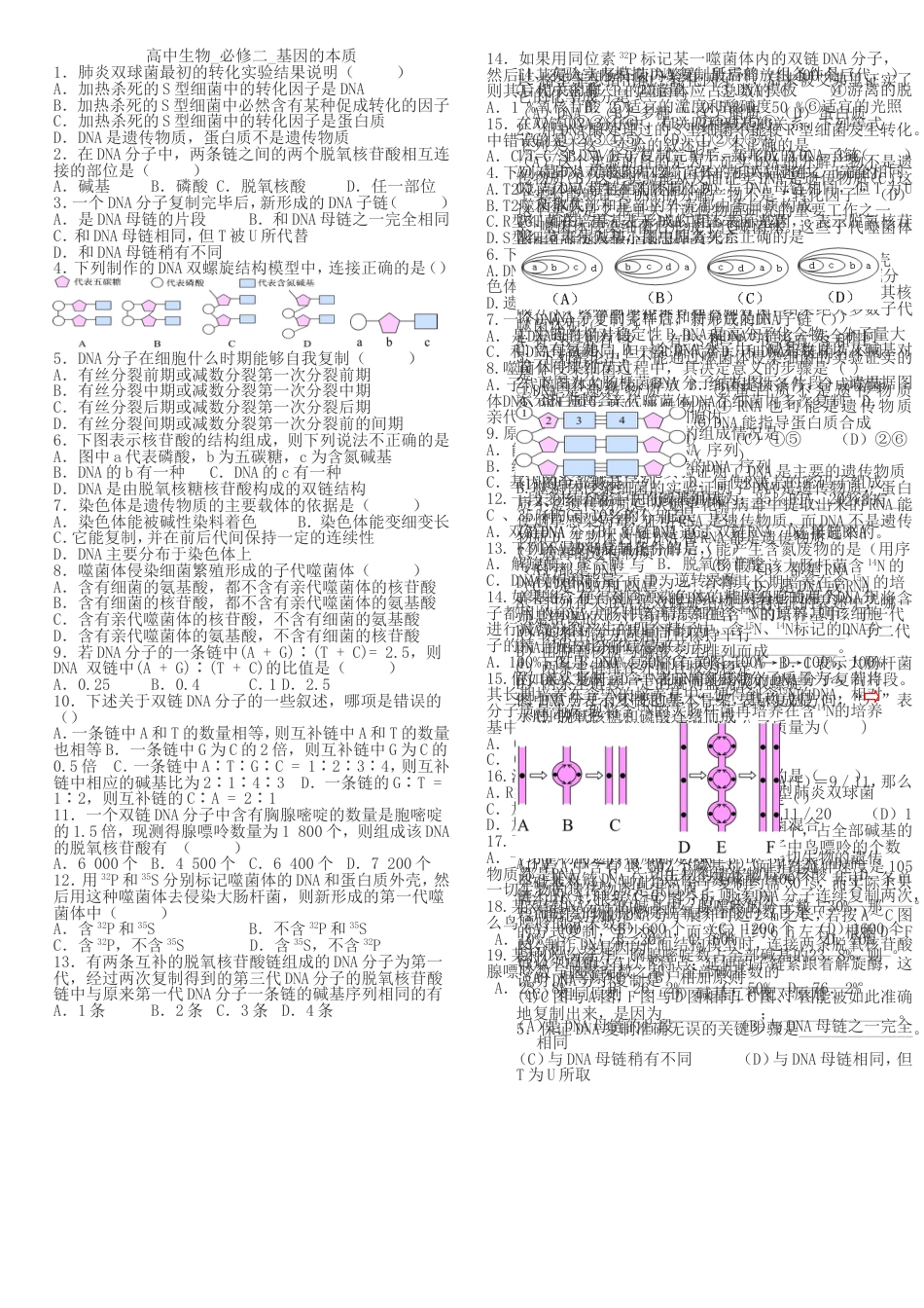 高中生物必修二基因的本质_第1页