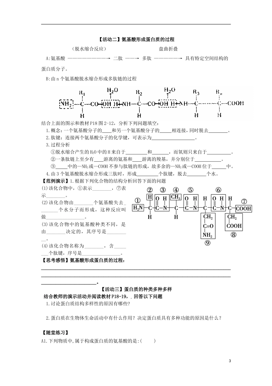 高中生物蛋白质导学案必修_第3页