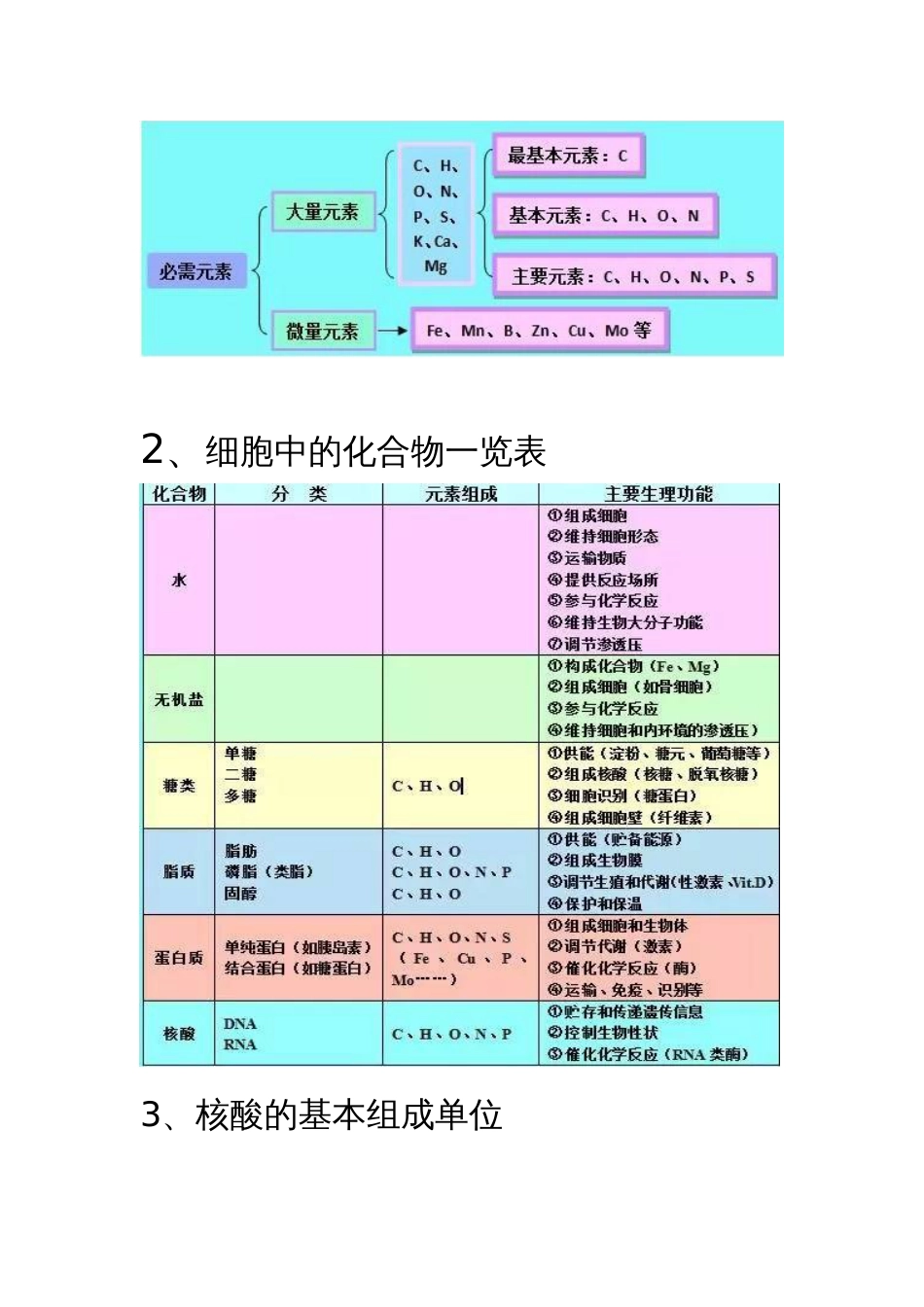 高中生物知识导图_第2页