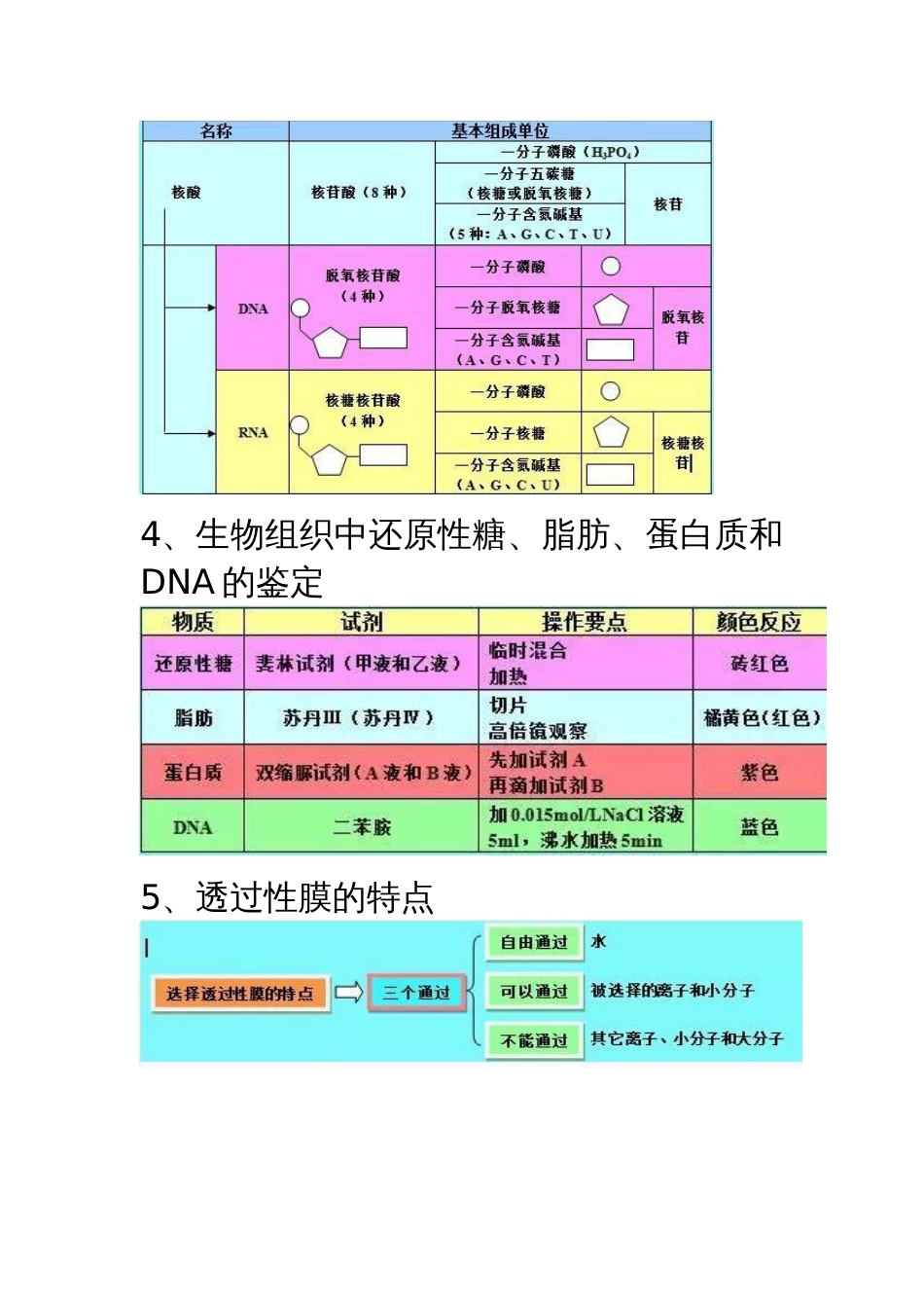 高中生物知识导图_第3页