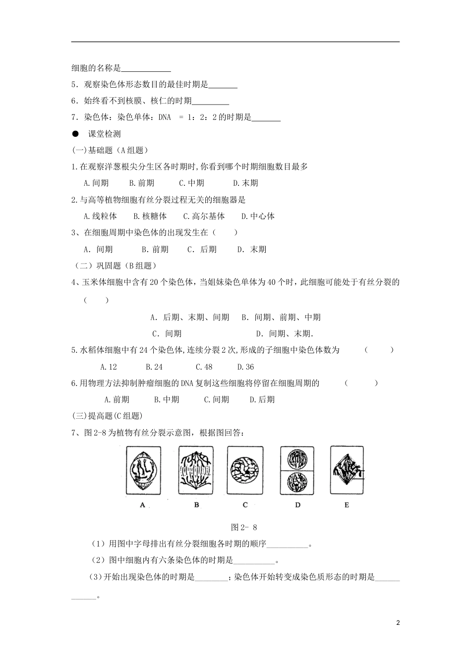 高中生物第六章细胞的生命历程细胞的增殖学案新人教版必修_第2页