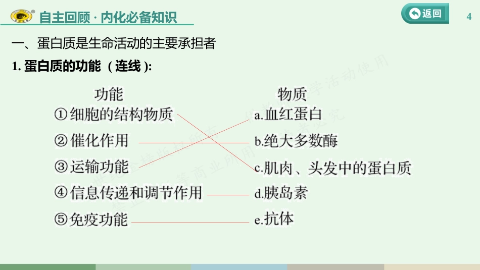 第一单元 第3课　细胞中的蛋白质和核酸_第3页