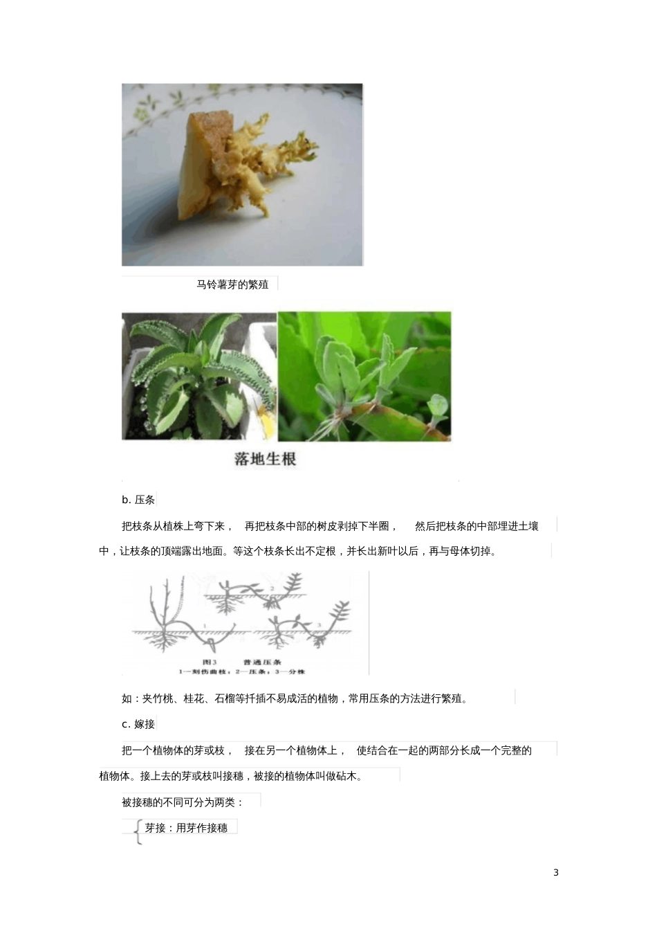 2017年中考生物复习植物的生殖知识点总结新人教版_第3页