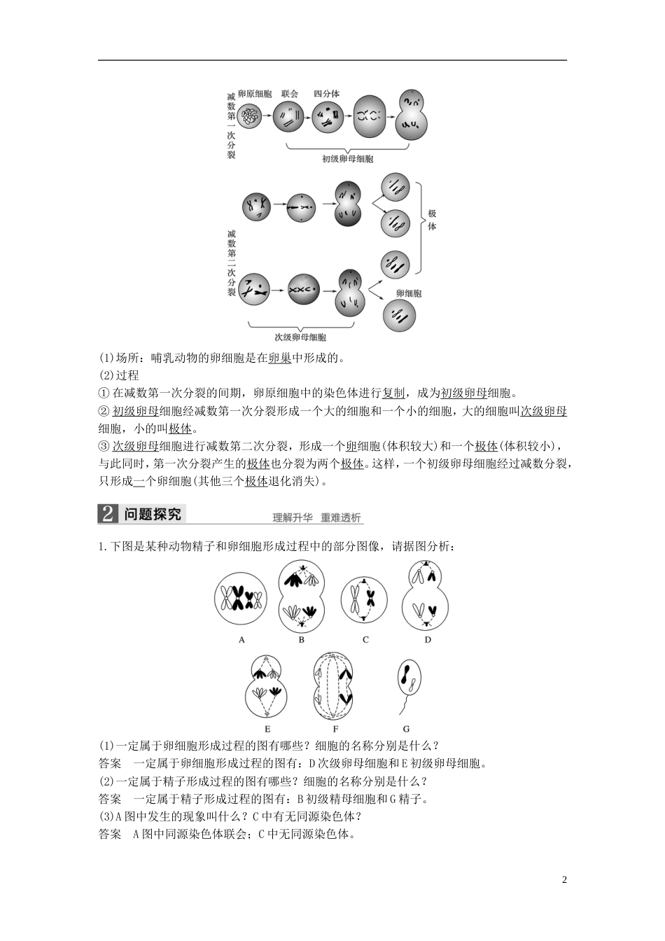 高中生物第二章减数分裂和有性生殖第一节减数分裂时教学案苏教必修_第2页