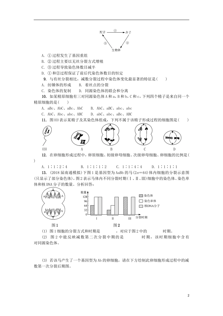 高中生物第十一讲减数分裂与配子形成练习苏教必修_第2页