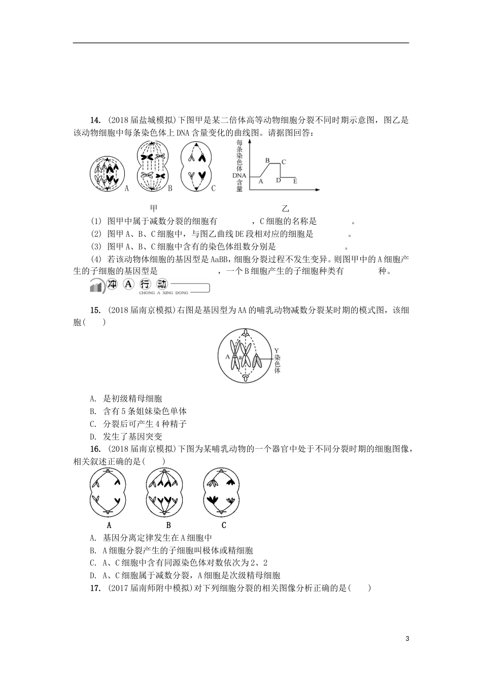 高中生物第十一讲减数分裂与配子形成练习苏教必修_第3页
