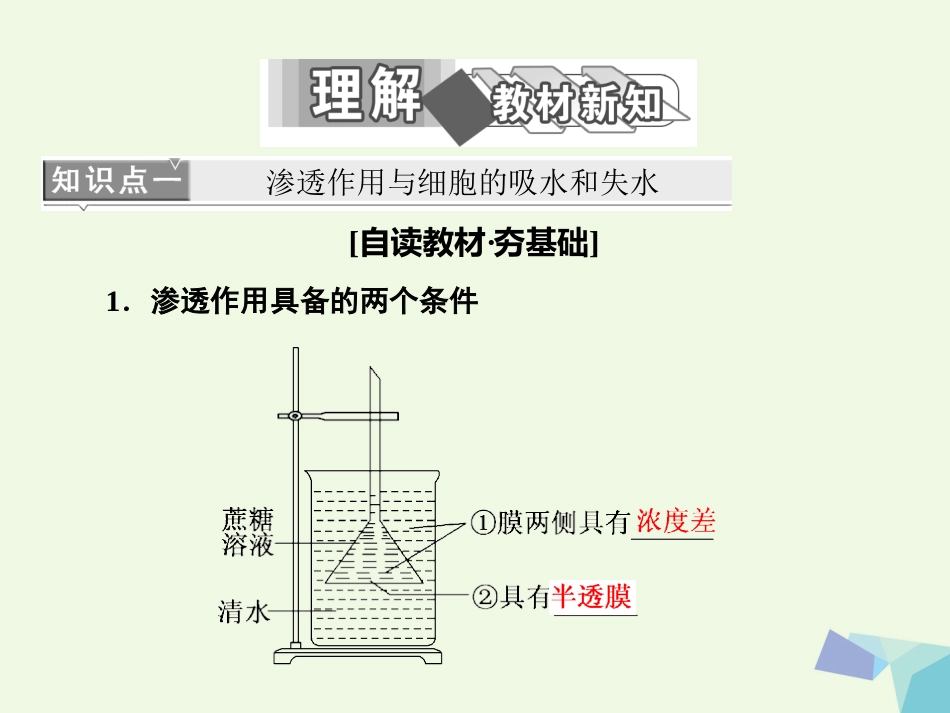 高中生物 第4章 细胞的物质输入和输出 第节 物质跨膜运输的实例课件 新人教版必修_第3页