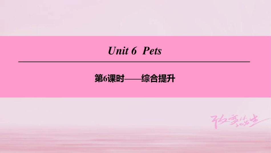 (广州沈阳通用)八年级英语下册Unit6Pets(第6课时)综合提升课件牛津深圳版_第1页