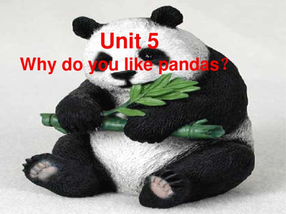 (水滴系列)七年级英语下册Unit5Whydoyoulikepandas(第5课时)S_第2页