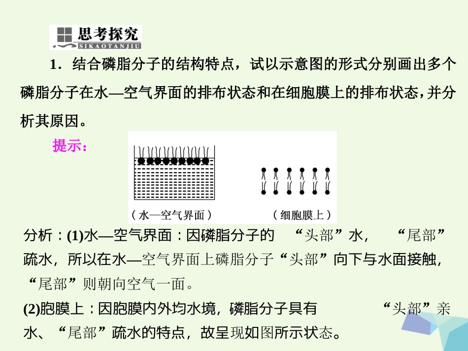 高中生物 第4章 细胞的物质输入和输出 第节 生物膜的流动镶嵌模型 第节 物质跨膜运输的方式课件 新人教版必修_第3页