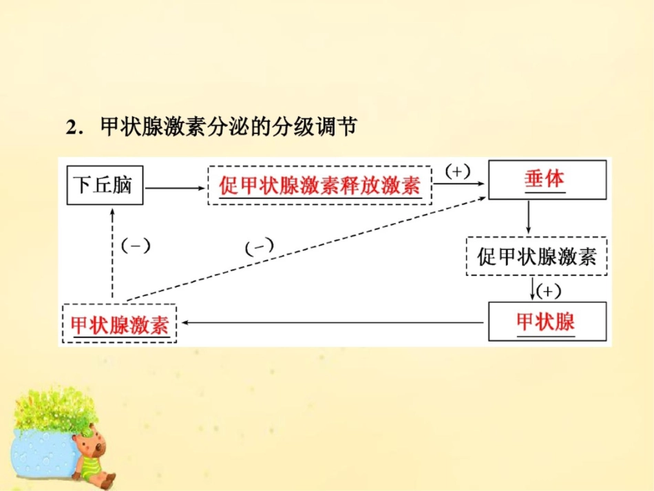 2017届高三生物一轮复习第一单元动物和人体生命活动的调节第三讲激素的调节课件(必修3)_第2页