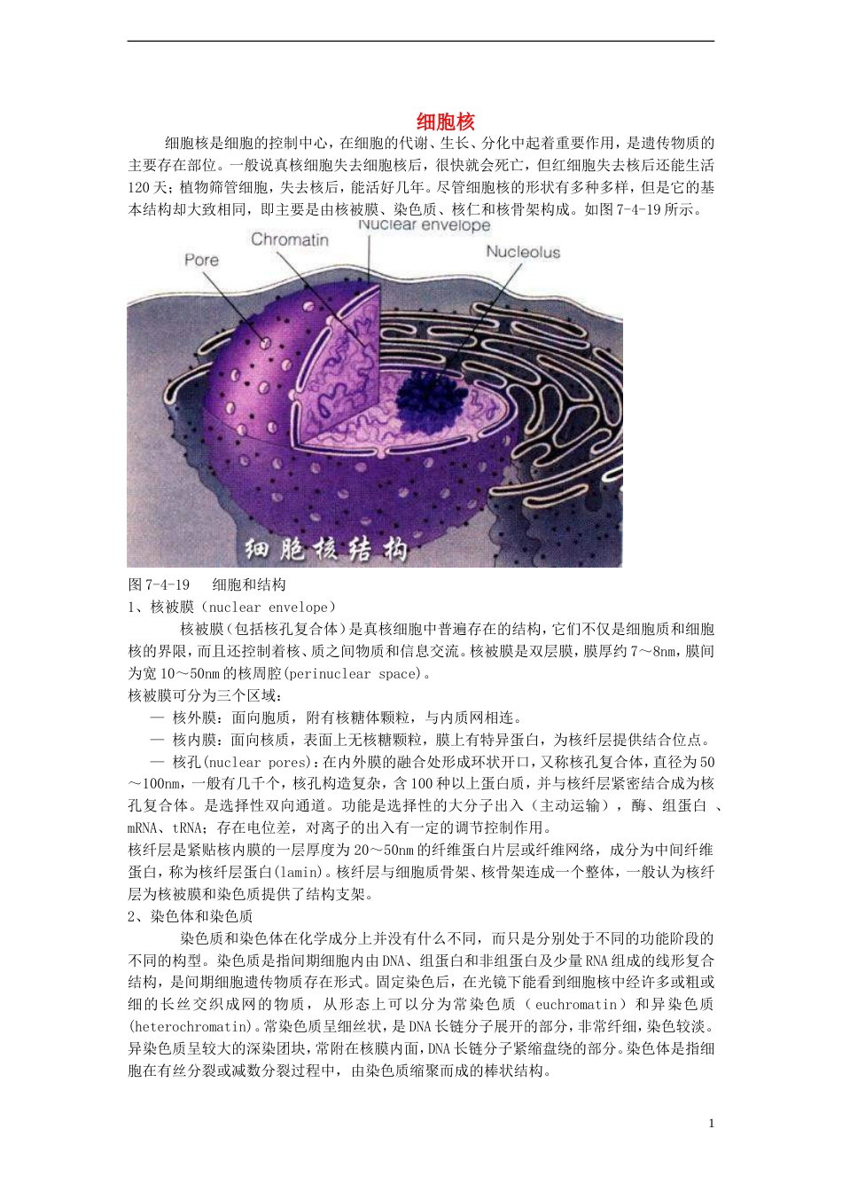 高中生物第二单元细胞的自我保障第二章细胞中的核酸第二节核酸与细胞核素材中图版必修1_第1页