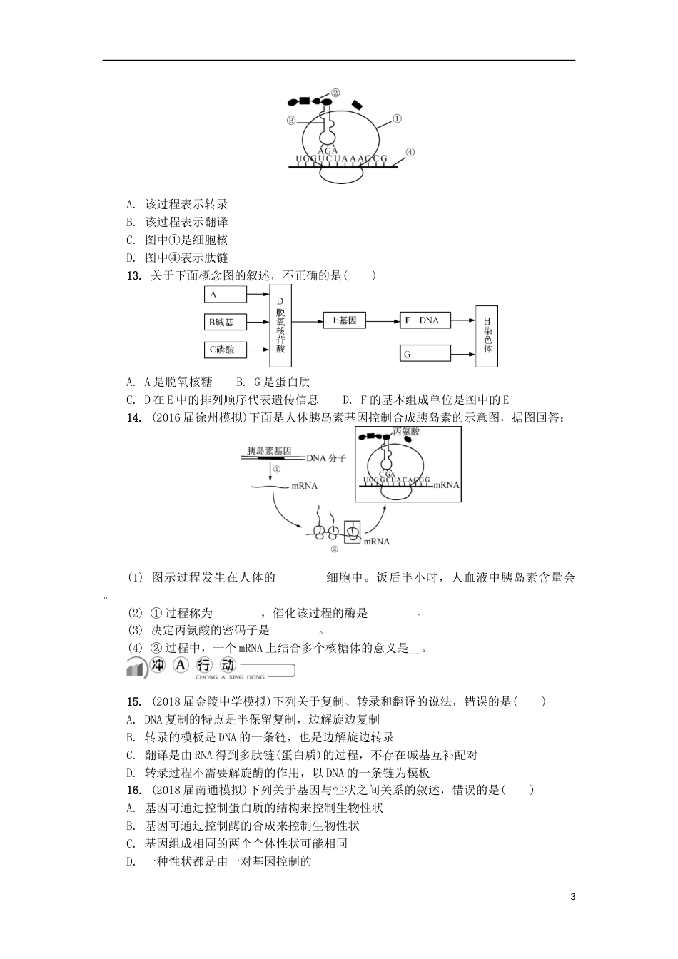 高中生物第十三讲基因及其表达练习苏教必修_第3页