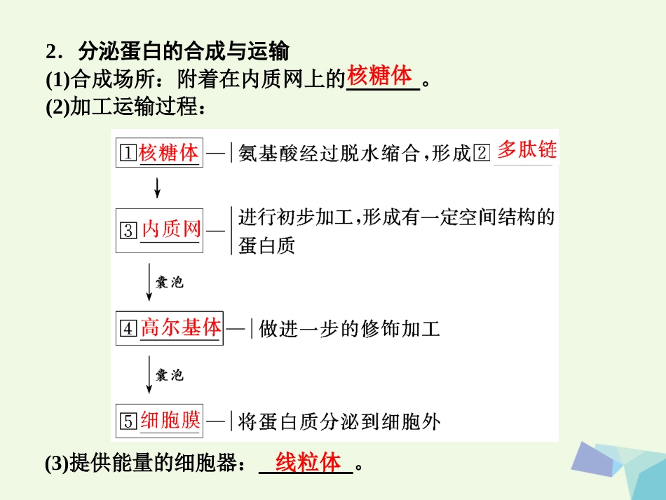 高中生物 第3章 细胞的基本结构 第节 细胞器——系统内的分工合作（第课时）细胞器之间的协调配合和生物膜系统课件 新人教版必修_第3页