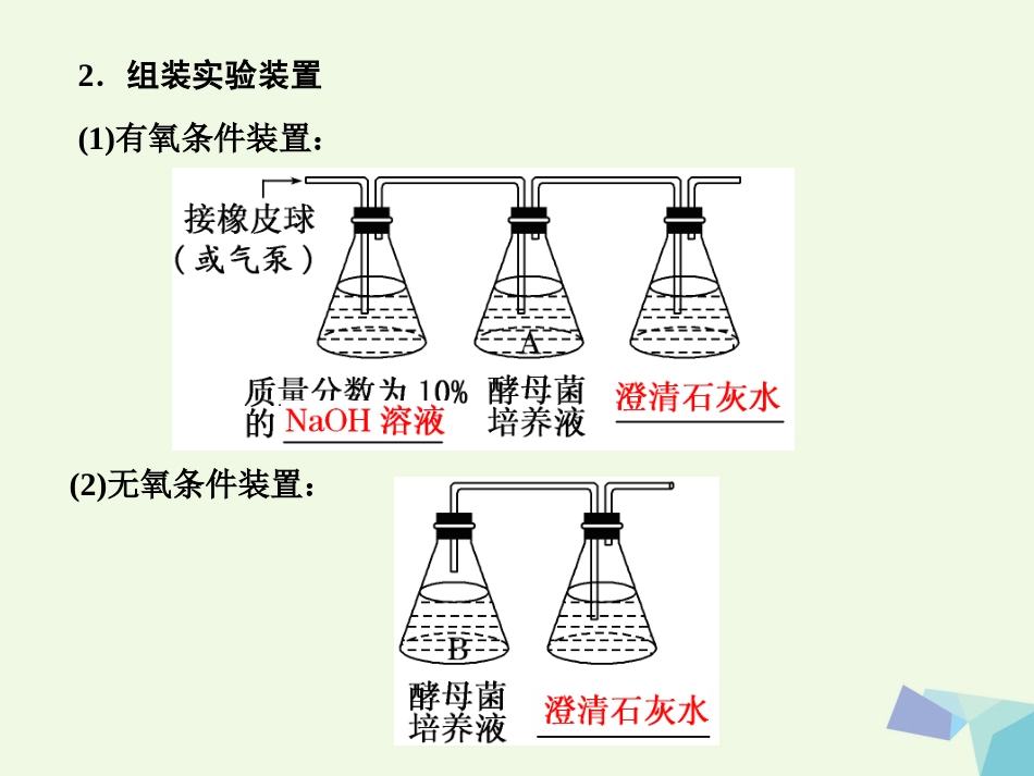 高中生物 第5章 细胞的能量供应和利用 第3节 ATP的主要来源——细胞呼吸课件 新人教版必修_第3页