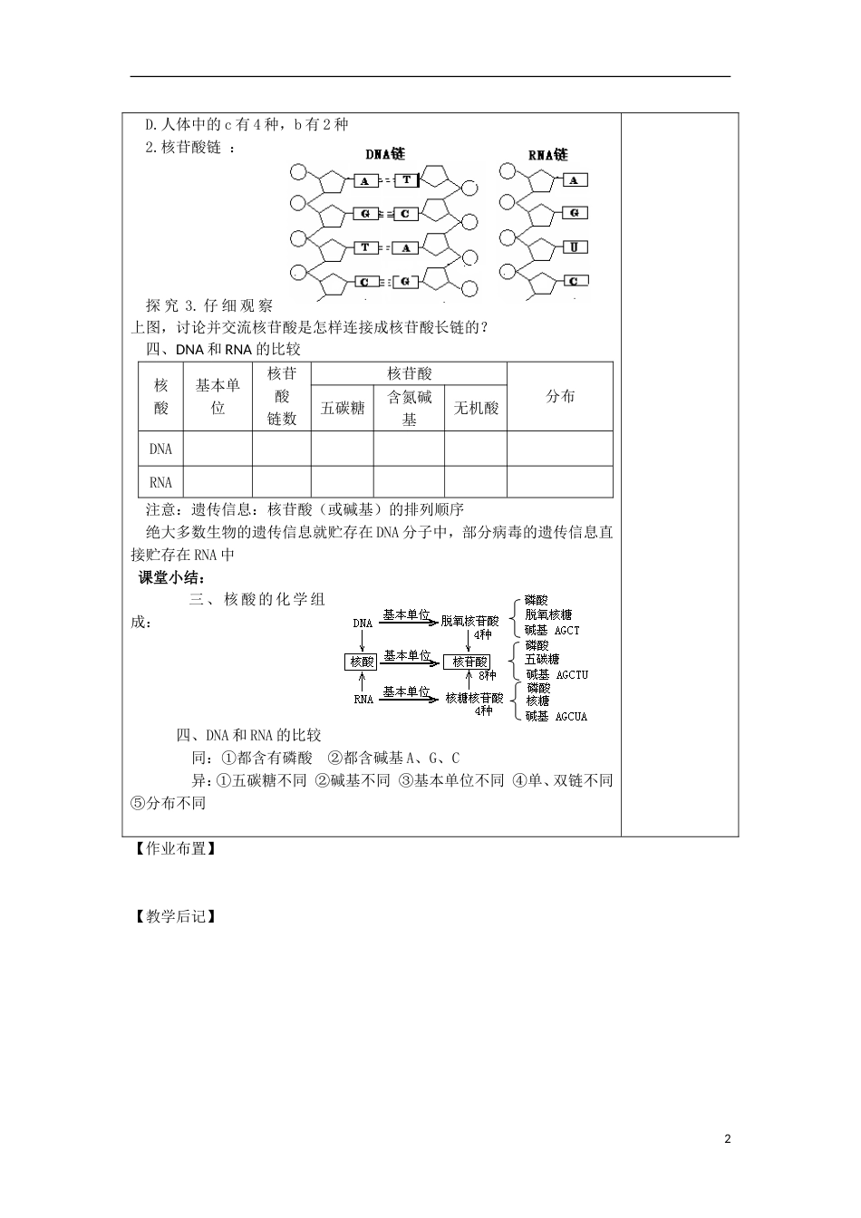 高中生物第二章组成细胞的分子遗传信息的携带者──核酸时教案新人教必修_第2页