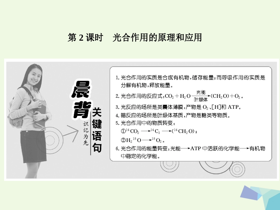 高中生物 第5章 细胞的能量供应和利用 第4节 能量之源——光与光合作用（第课时）光合作用的原理和应用课件 新人教版必修_第1页