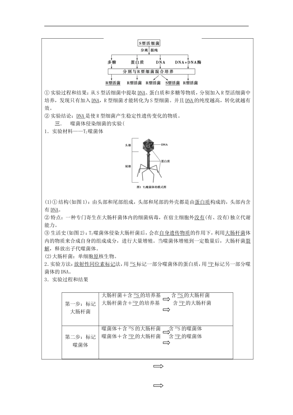 高中生物第三章基因的本质DNA是主要的遗传物质学案新人教必修_第2页