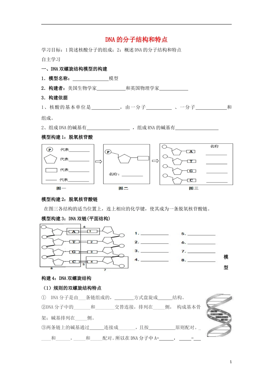 高中生物第三章遗传的分子基础DNA的分子结构和特点学案浙科必修_第1页