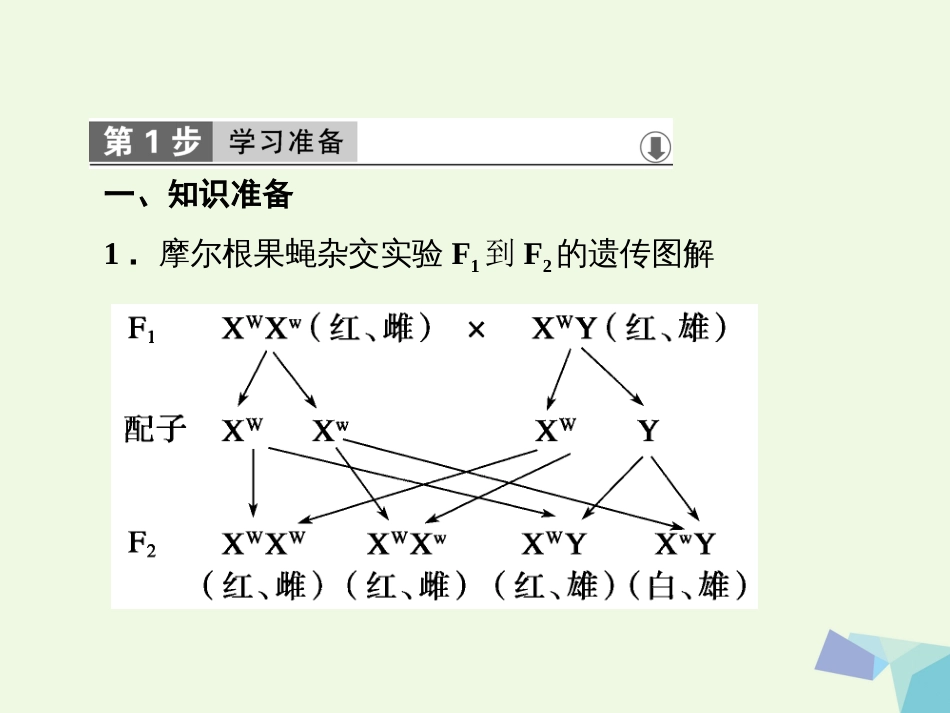 高中生物 第二章 基因和染色体的关系 第3节 伴性遗传课件 新人教版必修_第2页