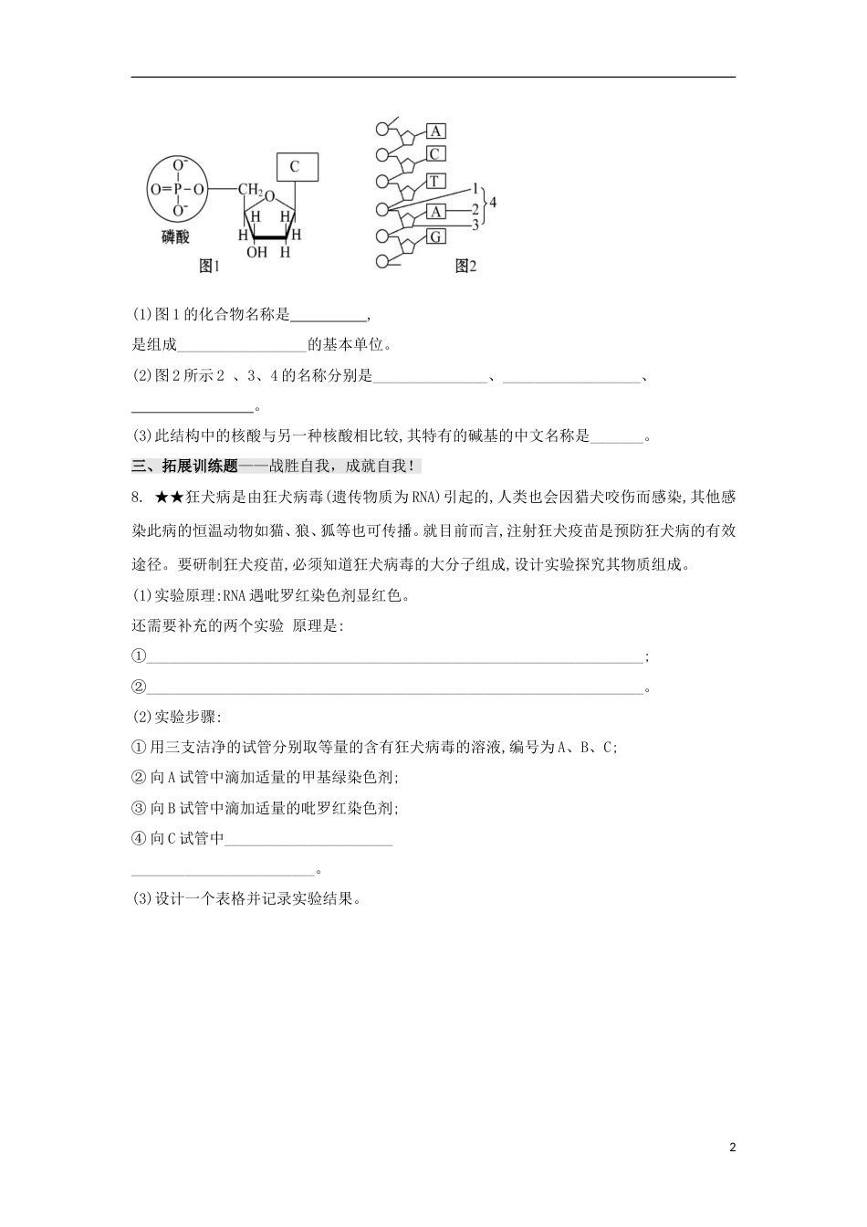 高中生物第二章组成细胞的分子第节遗传信息的携带者核酸习题新人教必修_第2页