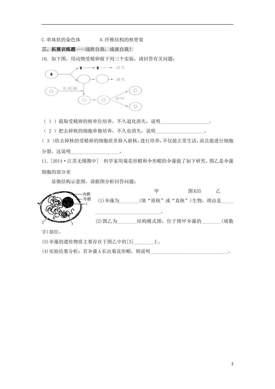 高中生物第三章细胞的基本结构第节细胞核系统的控制中心习题新人教必修_第2页