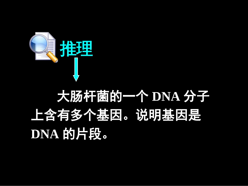 高一生物必修二《基因是有遗传效应的DNA片段》PPT课件_第3页