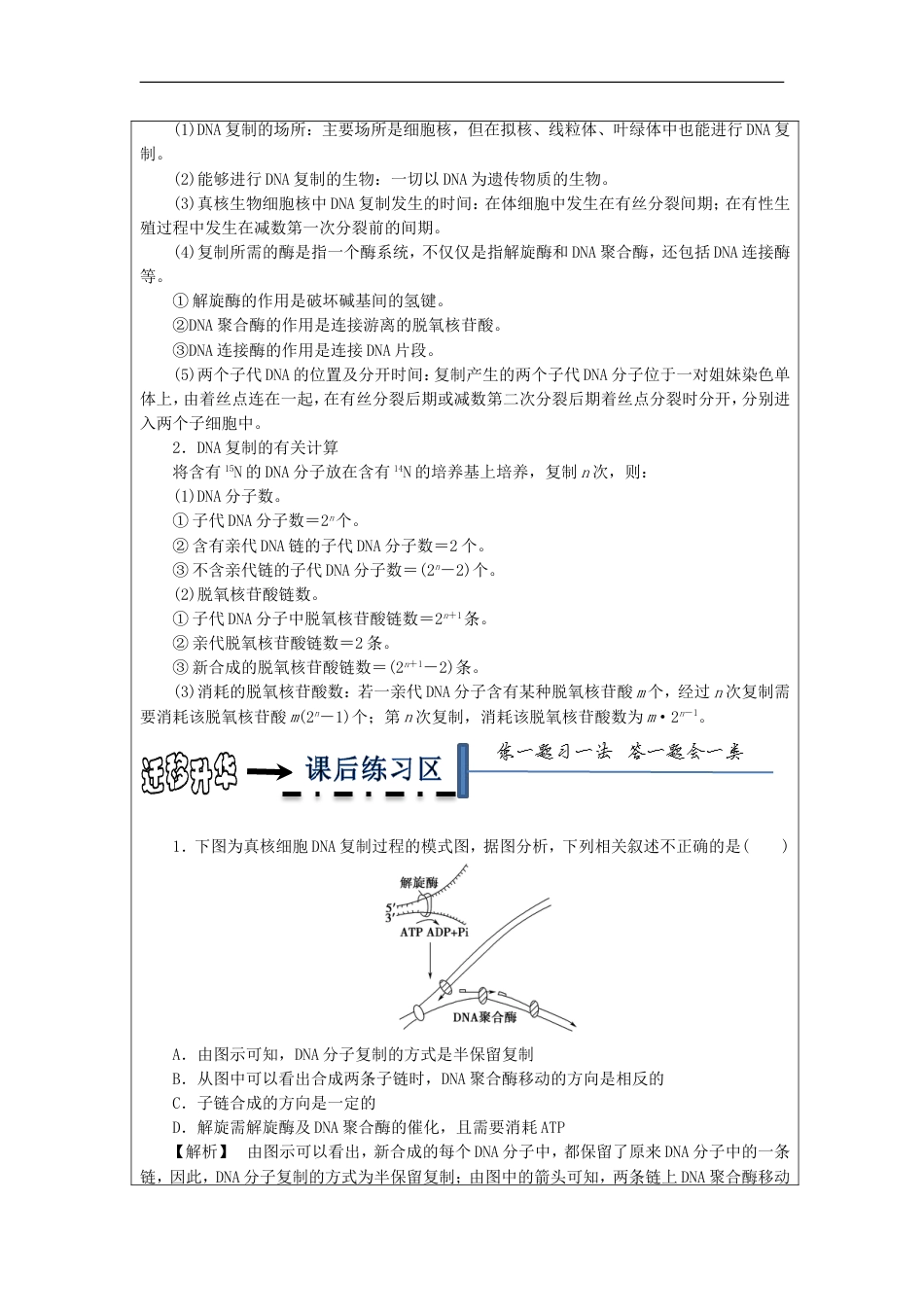 高中生物第三章基因的本质DNA的复制学案新人教必修_第3页