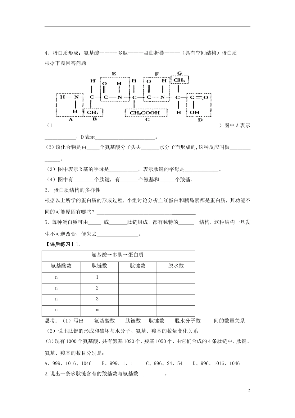 高中生物蛋白质核酸糖蛋白质学案浙科必修_第2页