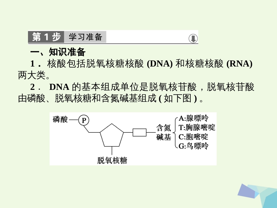 高中生物 第三章 基因的本质 第2节 DNA分子的结构课件 新人教版必修_第2页