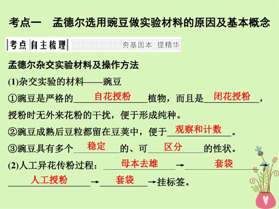 (浙江专版)2019版高考生物一轮复习第11讲分离和自由组合定律课件_第3页