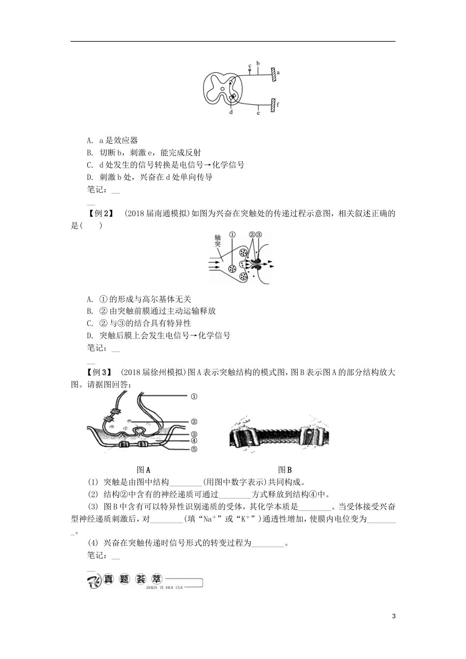 高中生物第二十二讲人体的神经调节学案苏教必修_第3页