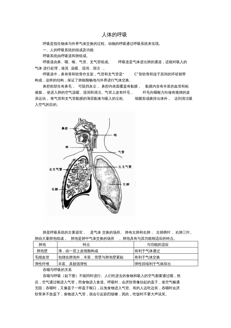 2017年中考生物专题复习(知识点梳理)人体的呼吸知识点总结新人教版_第1页
