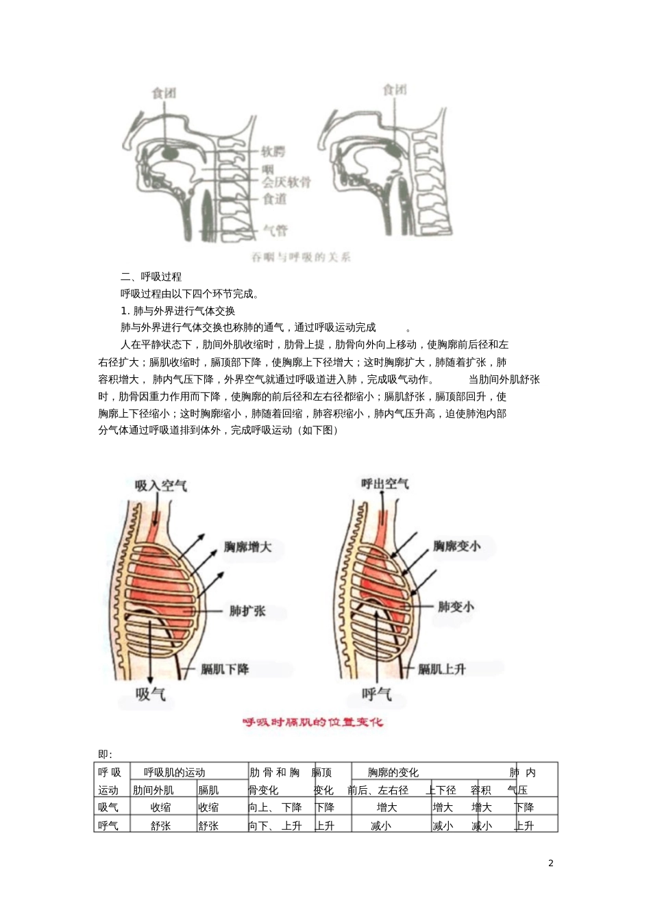 2017年中考生物专题复习(知识点梳理)人体的呼吸知识点总结新人教版_第2页