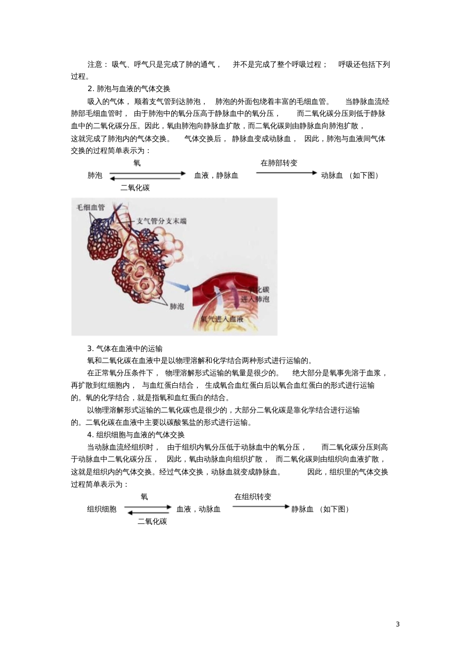 2017年中考生物专题复习(知识点梳理)人体的呼吸知识点总结新人教版_第3页