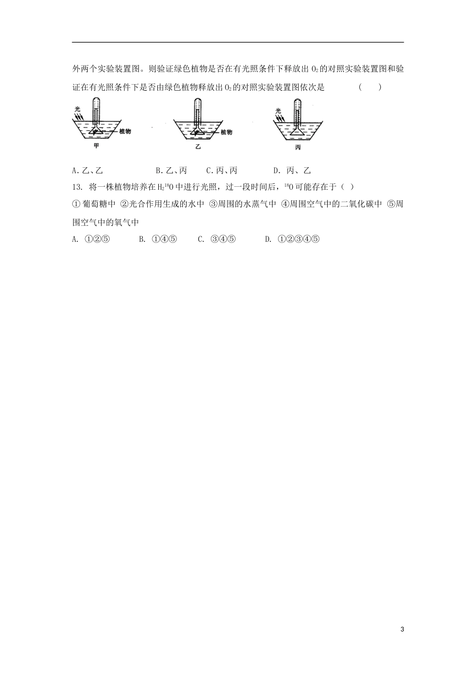 高中生物第三章细胞的代谢35光用6学案浙科必修1_第3页