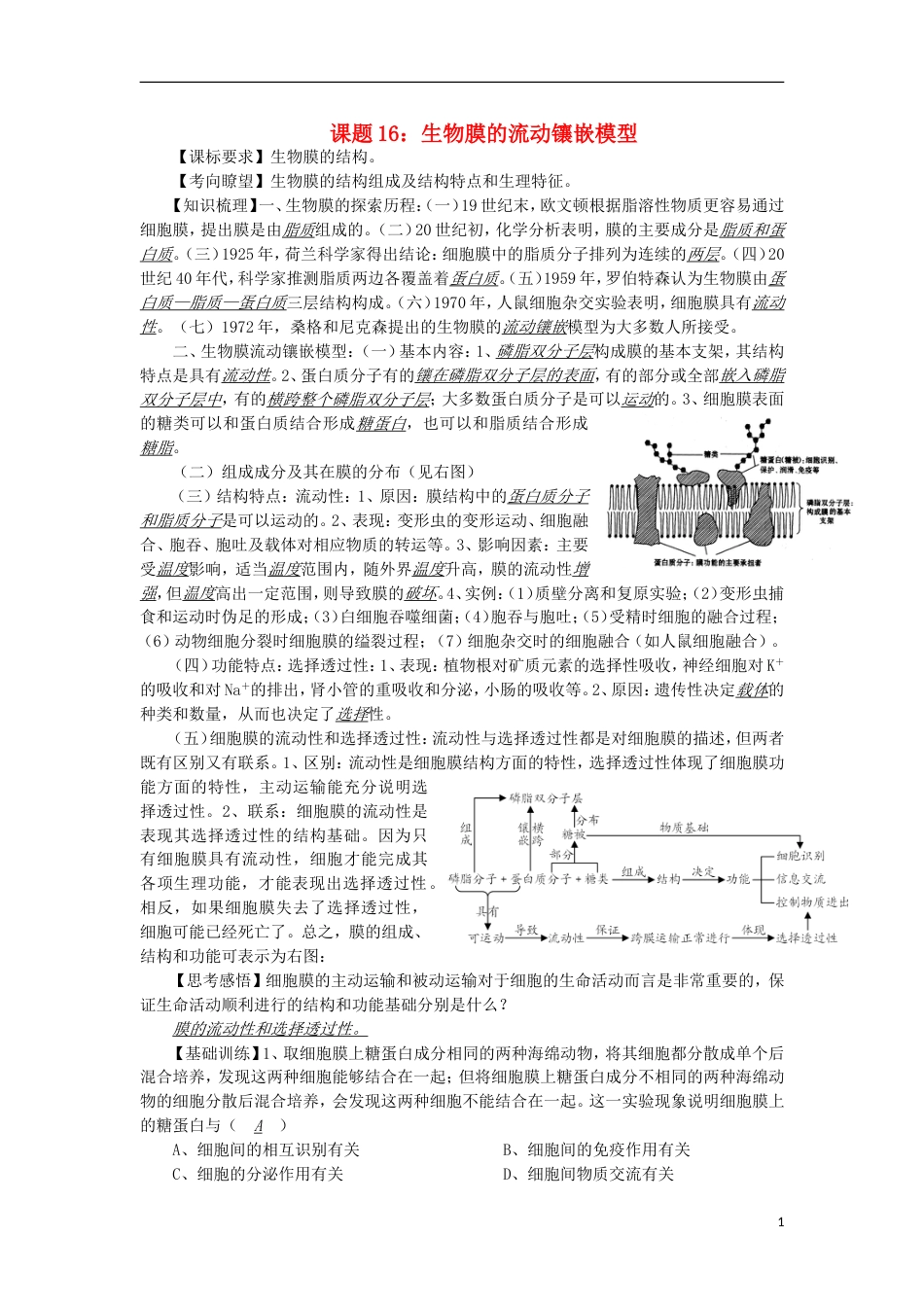 高中生物16流动镶嵌模型讲练中图版必修_第1页