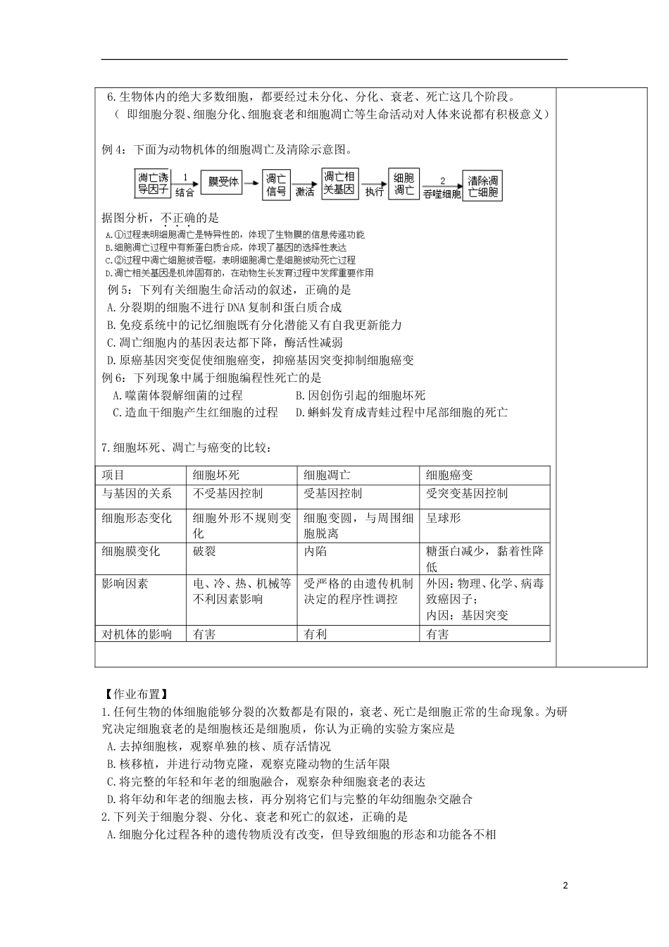 高中生物第六章细胞的生命历程细胞的分化衰老和凋亡癌变时教案新人教必修_第2页