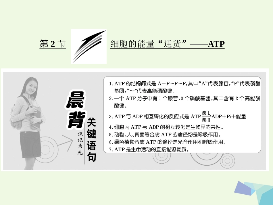 高中生物 第5章 细胞的能量供应和利用 第节 细胞的能量“通货”——ATP课件 新人教版必修_第1页