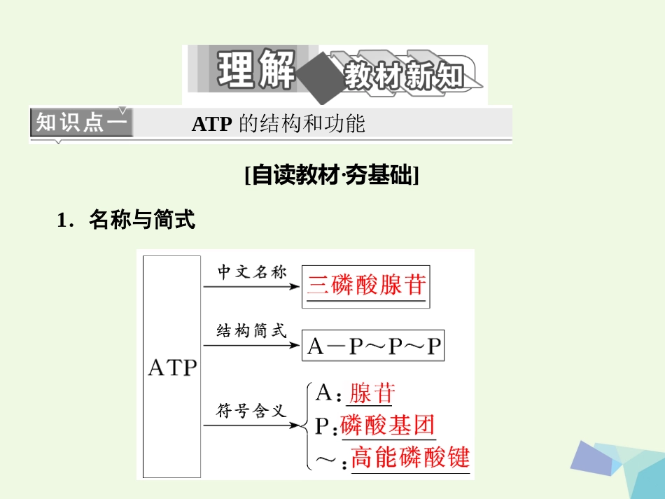 高中生物 第5章 细胞的能量供应和利用 第节 细胞的能量“通货”——ATP课件 新人教版必修_第2页