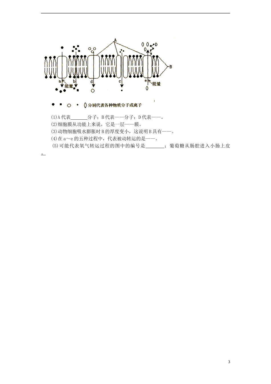 高中生物第三单元细胞的新陈代谢第一章细胞的物质交换第二节细胞膜的物质运输功能学案中图版必修1_第3页