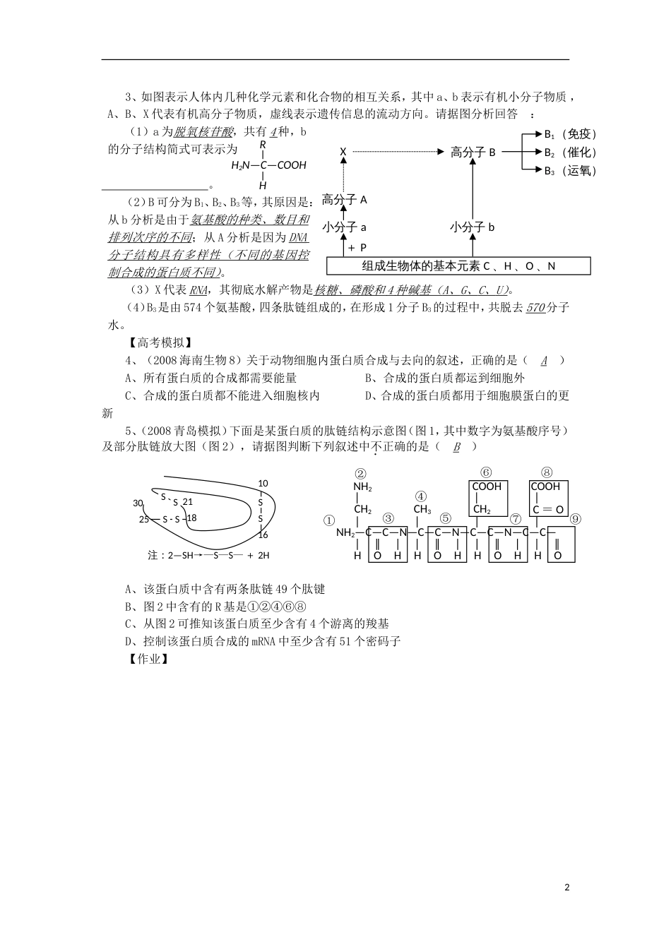 高中生物6蛋白质的功能讲练中图版必修1_第2页