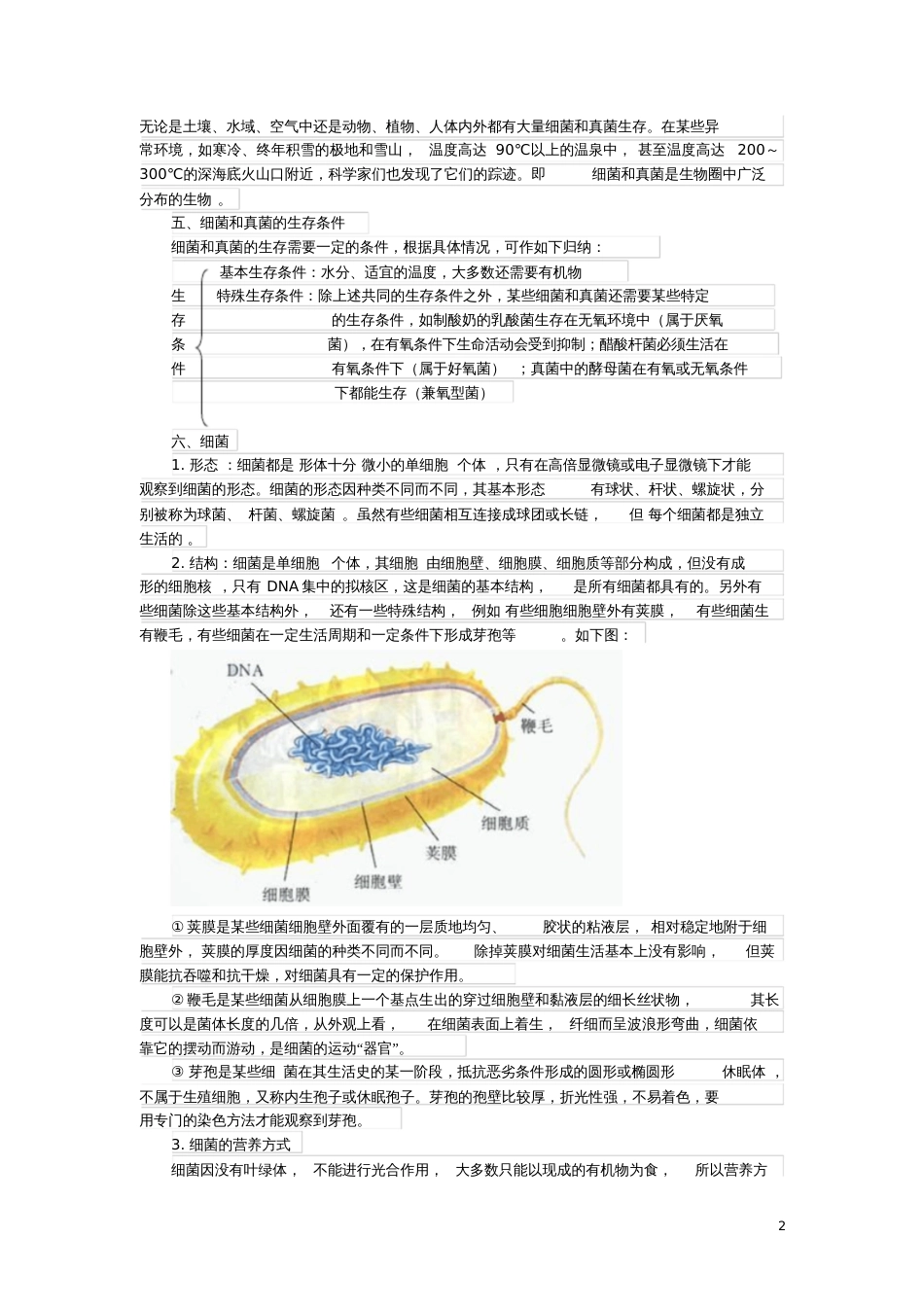 2017年中考生物复习细菌、真菌和病毒知识点总结新人教版_第2页