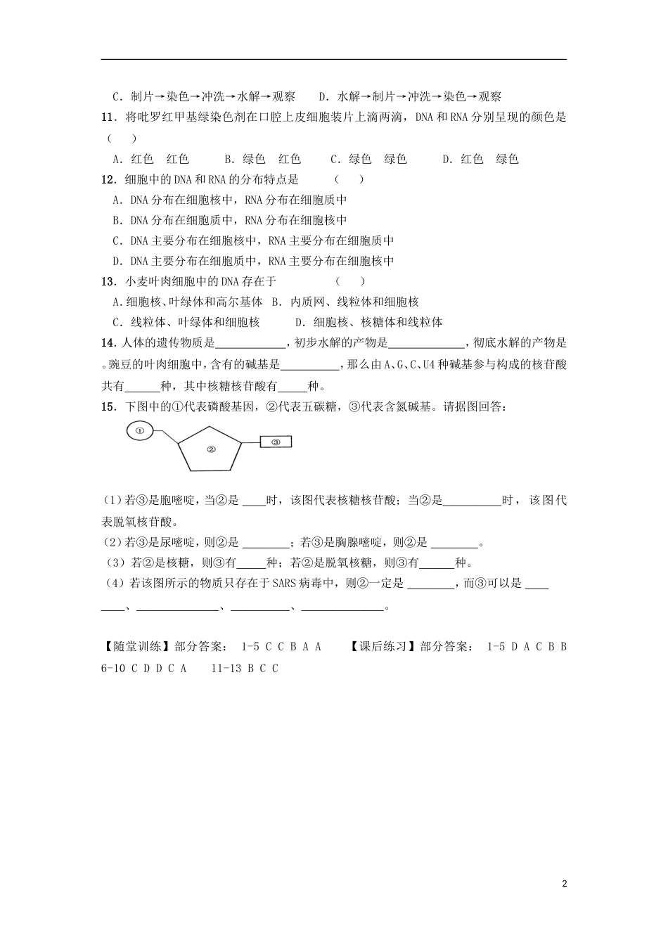 高中生物第二章组成细胞的分子核酸学案新人教必修_第2页